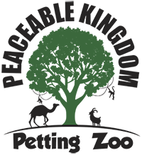 Peaceable Kingdom Petting Zoo